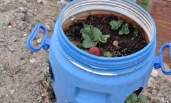 Buldanlı üreticilerden dönüşüm atağı