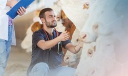 “Veteriner Danışmanlık Hizmeti” projesinde yeni dönem