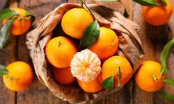 Yaş meyve sebze ihracatında büyük başarı