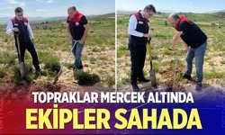 Denizli’de ekipler tarım arazilerini mercek altına aldı