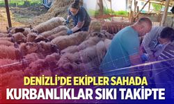 Denizli’de kurbanlıklar sıkı takipte