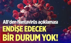 AB'den hantavirüs açıklaması: Endişe yaratacak bir durum yok