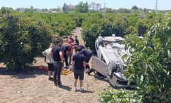 Viraj alamayan otomobil avokado bahçesine uçtu