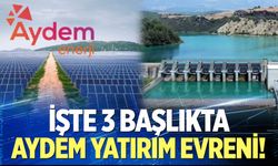 İşte 3 Başlıkta Aydem Yatırım Evreni!