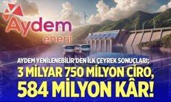 Aydem Yenilenebilir ilk çeyrek sonuçları belli oldu