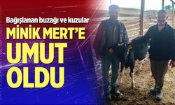 Bağışlanan buzağı ve kuzular Mert sağlığına kavuşması için desteğe dönüştü