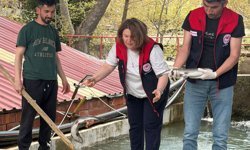 Çameli’de alabalık tesislerine sıkı denetim