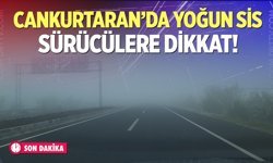 Cankurtaran'da yoğun sis…