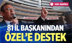 81 İl Başkanından Özel’e Destek