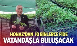 Hazırlıklar bitti,  Honaz’da Tohum Takas Şenliği yapılacak
