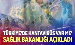 Türkiye'de Hantavirüs var mı?