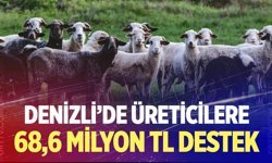 Denizli’de çiftçilere 68,6 milyon TL destek