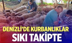 Denizli’de kurbanlıklar sıkı takipte