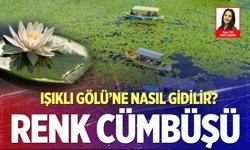 Denizli Işıklı Gölü’ne nasıl gidilir? Tekne turları ve nilüfer şöleni başladı