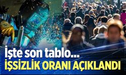 İlk çeyrekte işsizlik oranı açıklandı