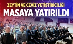 Kale’de zeytin ve ceviz yetiştiriciliği masaya yatırıldı
