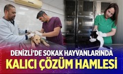 Denizli’de sokak hayvanlarında kalıcı çözüm hamlesi