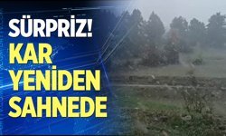 Denizli'de kar yeniden sahnede