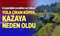 Manevra yapan otomobil tarlaya uçtu: 1 ölü, 2 yaralı