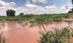 Kenya'da sel felaketi: 10 ölü