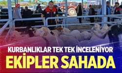 Denizli'de kurbanlıklar tek tek inceleniyor