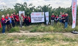Zararlılarla mücadelede zirai ilaç yerine faydalı böcek