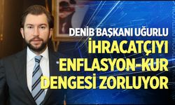 DENİB Başkanı Uğurlu: İhracatçıyı enflasyon-kur dengesi zorluyor