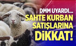 DMM'den dolandırıcılık uyarısı!