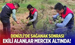 Denizli'de tarım alanlarında hasar tespiti başladı