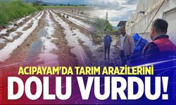 Şiddetli dolu yağışı Acıpayam’da tarımı vurdu