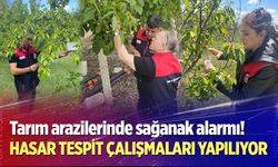 Denizli'de tarım arazilerinde yoğun mesai