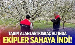 Denizli’de soğuk hava alarmı: Tarım ekipleri sahaya indi!