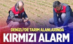 Denizli’de don alarmı verildi; Ekipler 19 ilçede sahaya çıktı