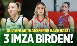 Denizli Büyükşehir Belediyespor'dan 3 imza