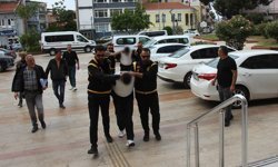 Cinayet şüphelisi abi-kardeş tutuklandı