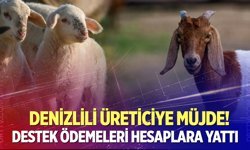 Denizlili üreticilere dev destek!