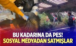 Sosyal medyadan zehir satmışlar