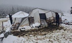 Denizli’de facia önlendi: Çadır çöktü, hayvanlar kurtarıldı