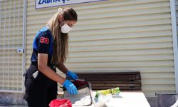 Büyükşehir Zabıtası dilencilere geçit vermiyor