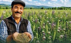 “5’li Karışım Yem Bitkisi Tohumu Desteği” için başvuru süreci başladı