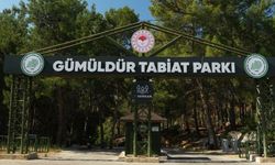 3 yıl aradan sonra kapılarını yeniden açtı
