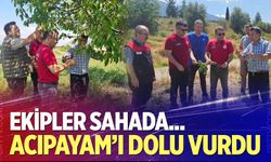 Denizli’de dolu sonrası tarım alanları incelendi