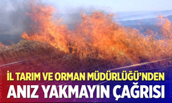 Denizli Tarım ve Orman Müdürlüğü’nden Anız Yangını Uyarısı