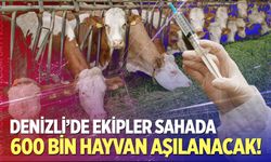 Denizli’de ekipler sahada! 600 bin hayvan aşılanacak!
