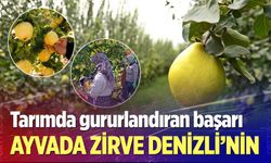 Denizli, ayva üretiminde Türkiye’nin zirvesinde