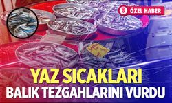 Denizli’de balık fiyatları ne kadar? Hamsi, sardalya ve çupra güncel fiyatları