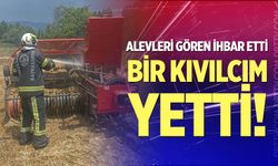 Beyağaç'ta korkutan yangın