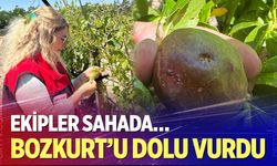 Bozkurt’ta tarım arazilerinde hasar tespit çalışmaları yürütülüyor