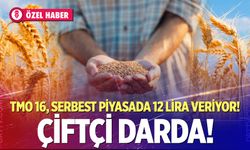 TMO 16, serbest piyasada 12 lira veriyor!  Çiftçi darda!