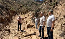 Buldan’da ormanlar için kalıcı çalışmalar başladı